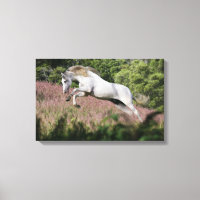 Fantasy Horses: Spring Gallop