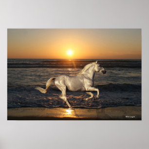 Fantasy Horses: Sunset Poster