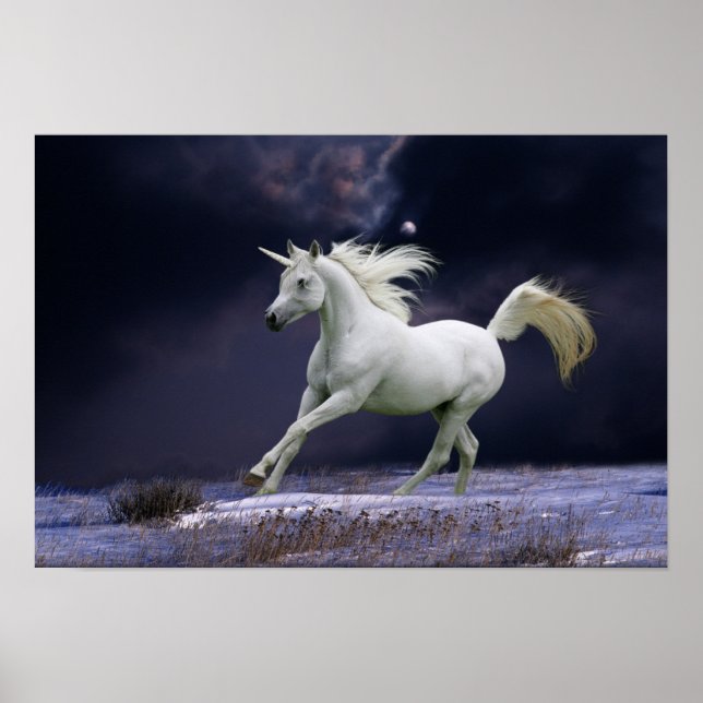 Fantasy Horses: Unicorn Poster (Vorne)