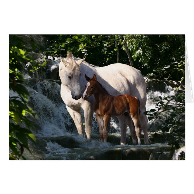 Fantasy Horses: Wasserfall (Vorderseite (Horizontal))