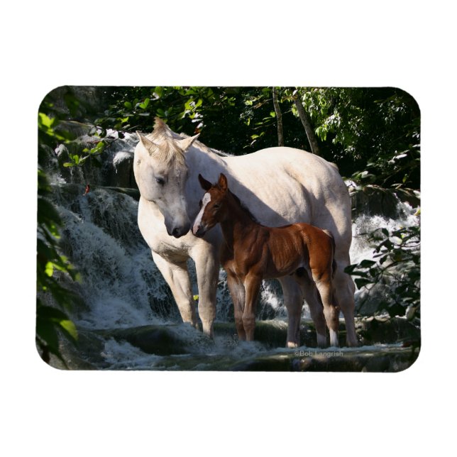 Fantasy Horses: Wasserfall Magnet (Horizontal)