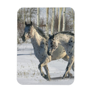 Fantasy Horses: Winter Wunderland Magnet