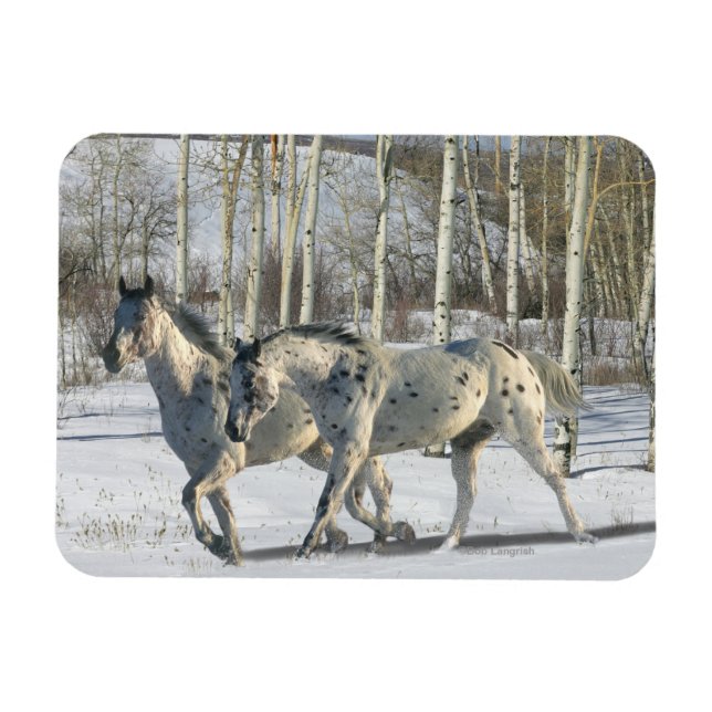 Fantasy Horses: Winter Wunderland Magnet (Horizontal)