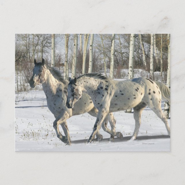 Fantasy Horses: Winter Wunderland Postkarte (Vorderseite)