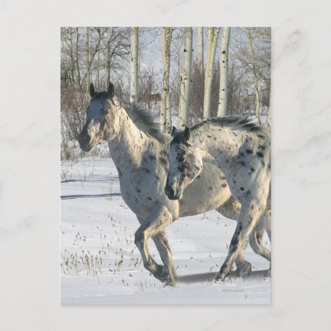 Fantasy Horses: Winter Wunderland Postkarte (Vorderseite)