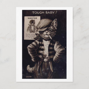 Fantasy-Katze, Tough Baby Vintage Postkarte