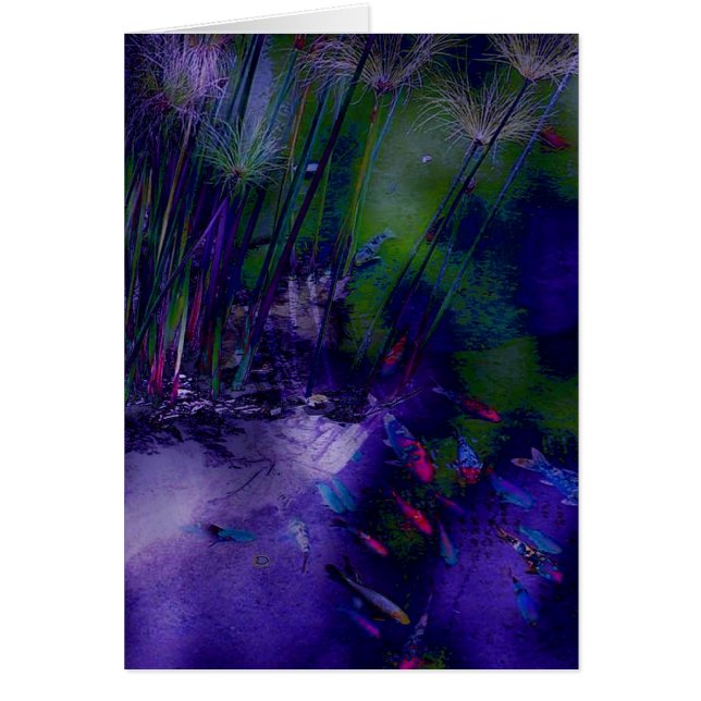 Fantasy Koi Pond Card (Vorne)