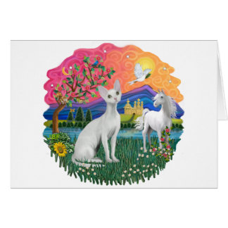 Fantasy Land (ff) - Devonshire Rex cat