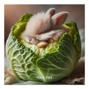 Fantasy Niedlich Baby Bunny Cabbage Poster