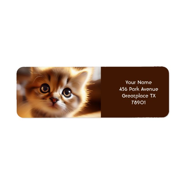 Fantasy Niedlich Closeup Kleine Kitten (Vorne)