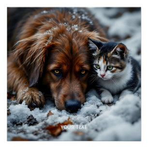 Fantasy Niedlich Dog Cat Snow Poster