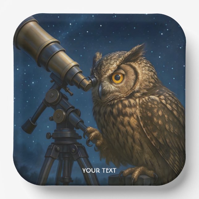 Fantasy Niedlich Owl Telescope Night Pappteller (Vorderseite)