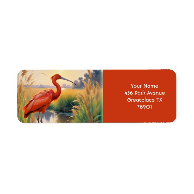 Fantasy Niedlich Scarlet Ibis Abend (Vorne)