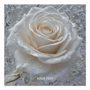 Fantasy Niedlich White Rose Drops Poster