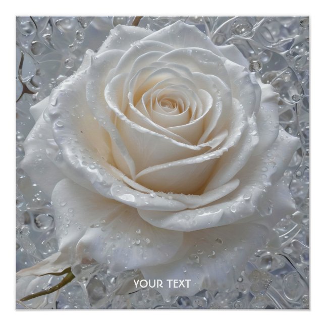 Fantasy Niedlich White Rose Drops Poster (Vorderseite)