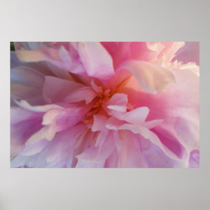 Fantasy Pachy-Pink Peony: Großformatige Printwerbu Poster