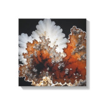 Fantasy Plume Agate Canvas Print
