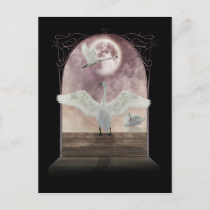 Fantasy Swan Postcard Kunst Postkarte