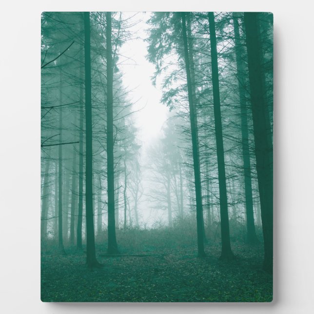 Fantasy-Wald mit Nebel in Grün Fotoplatte (Vorderseite)