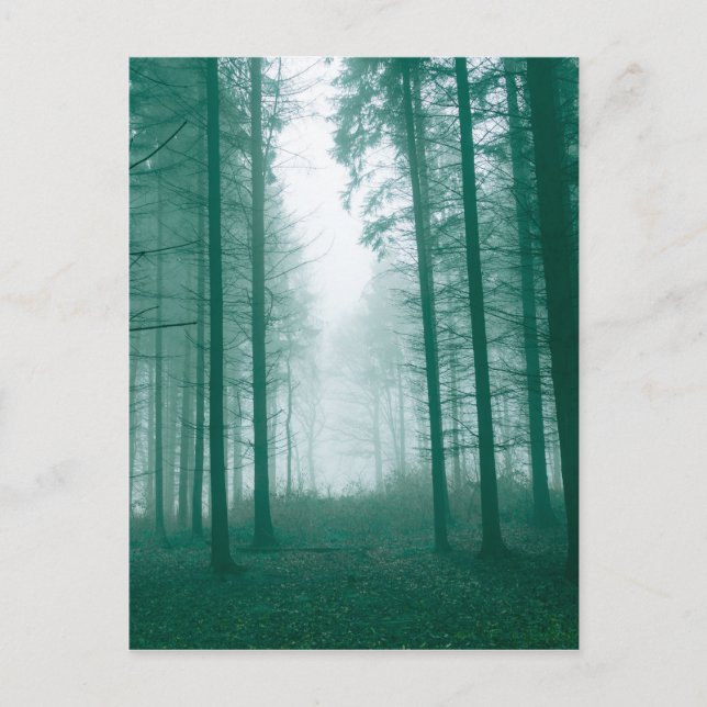 Fantasy-Wald mit Nebel in Grün Postkarte (Vorderseite)