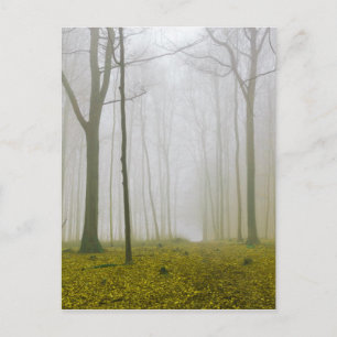 Fantasy-Wald mit Nebel und gelbem Blattwerk Postkarte