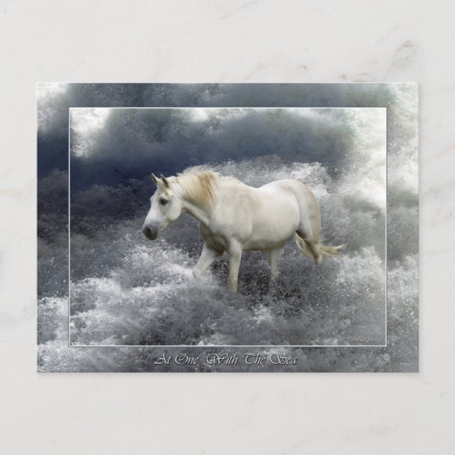 Fantasy White Horst & Ocean Surf Geschenke Postkarte (Vorderseite)
