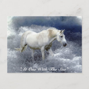 Fantasy White Horst & Ocean Surf Geschenke Postkarte
