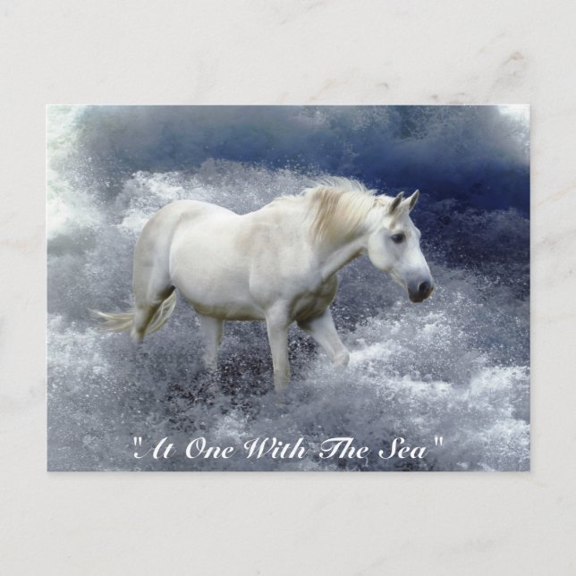 Fantasy White Horst & Ocean Surf Geschenke Postkarte (Vorderseite)