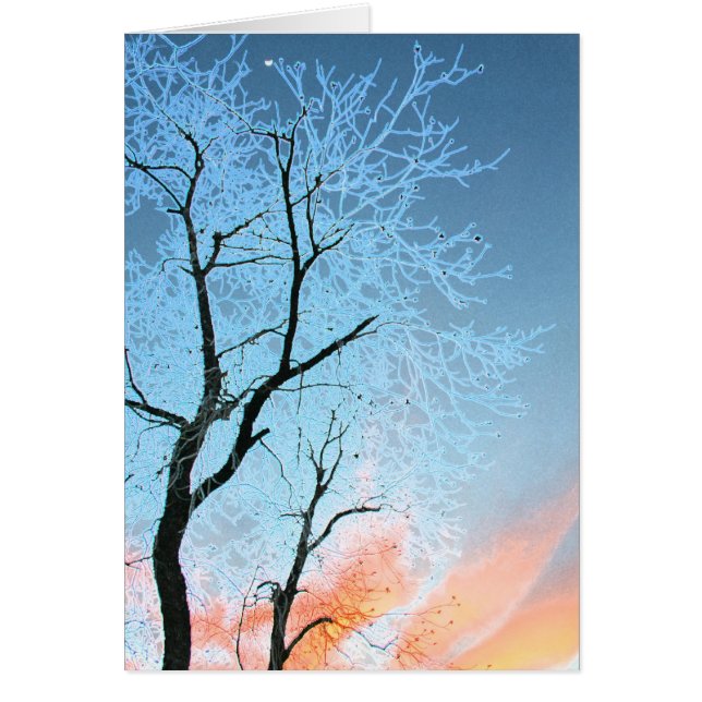 Faraway Moon (Vorne)