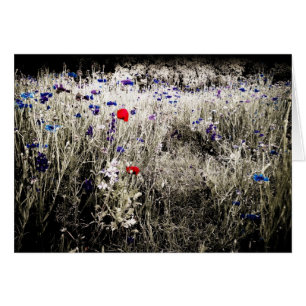 Farbabgeschiedene Blumen-Karte