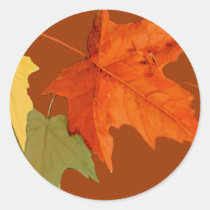 Farbaufkleber für Herbst Runder Aufkleber
