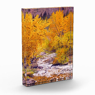 Farbautumn Espen in Colorado Fotoblock