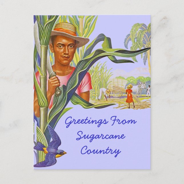FARBBIGE PROMO REISE SUGARCANE HARVEST POSTCARD POSTKARTE (Vorderseite)