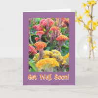 FARBBIGER CELOSIA GARTEN/ GUT/KUNSTBAR