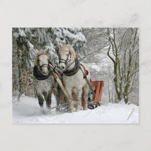 Farbbild für den Winter Schlittenfahrt Postkarte