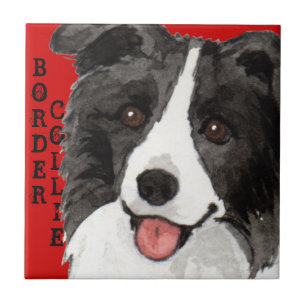 Farbblock Border Collie Fliese