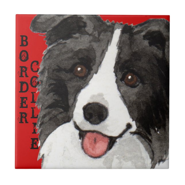 Farbblock Border Collie Fliese (Vorderseite)