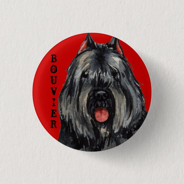 Farbblock Bouvier Button (Vorderseite)