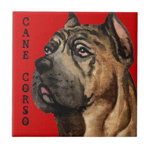 Farbblock Cane Corso Fliese