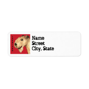 Farbblock Lakelands Terrier