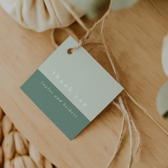 FarbblockbegleiterTags für Minze Geschenkanhänger (Mint Green Color Block Favor Tags)