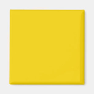 Farbcode Visuelle Identifikatoren Adaptives Leben Magnet