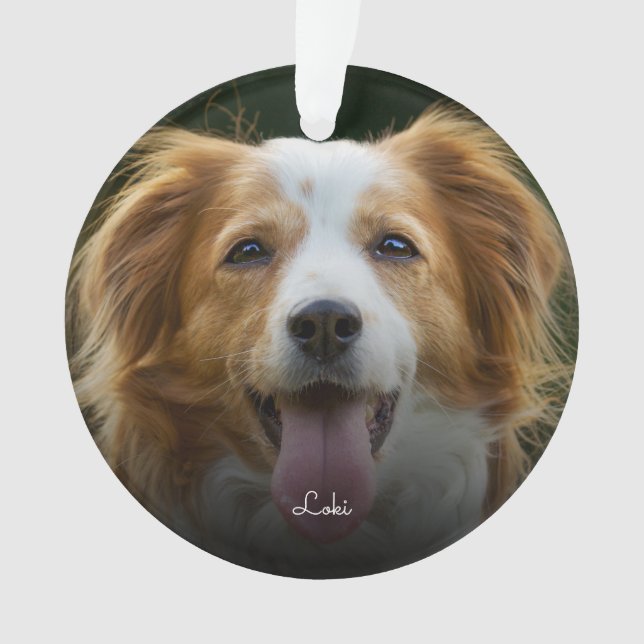 Farbdrucke und Herz-Rahmen-Foto für Haustiere nach Ornament (Vorderseite)