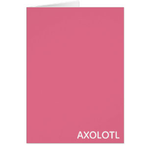 Farbe Axolotl pink