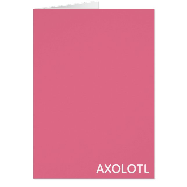 Farbe Axolotl pink (Vorne)