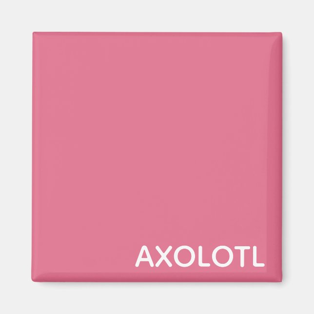 Farbe Axolotl pink Magnet (Vorne)