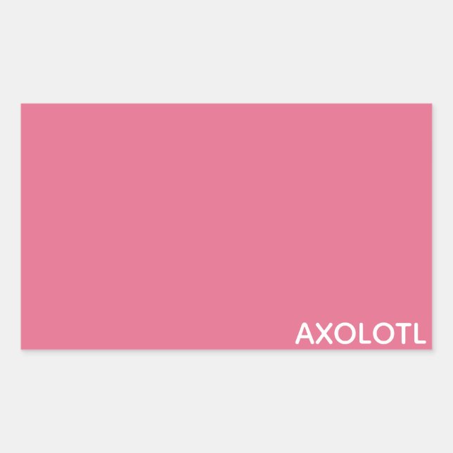 Farbe Axolotl pink Rechteckiger Aufkleber (Vorderseite)