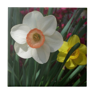 Farbe der Frühlingsblumen Rosa und Gelb Fliese