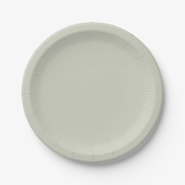 Farbe der weißen Seite Pappteller (Vorderseite)