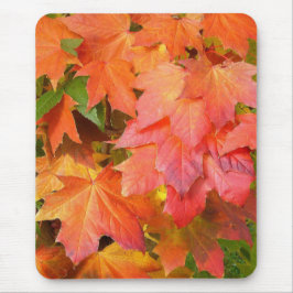 Farbe des Herbstes Mousepad